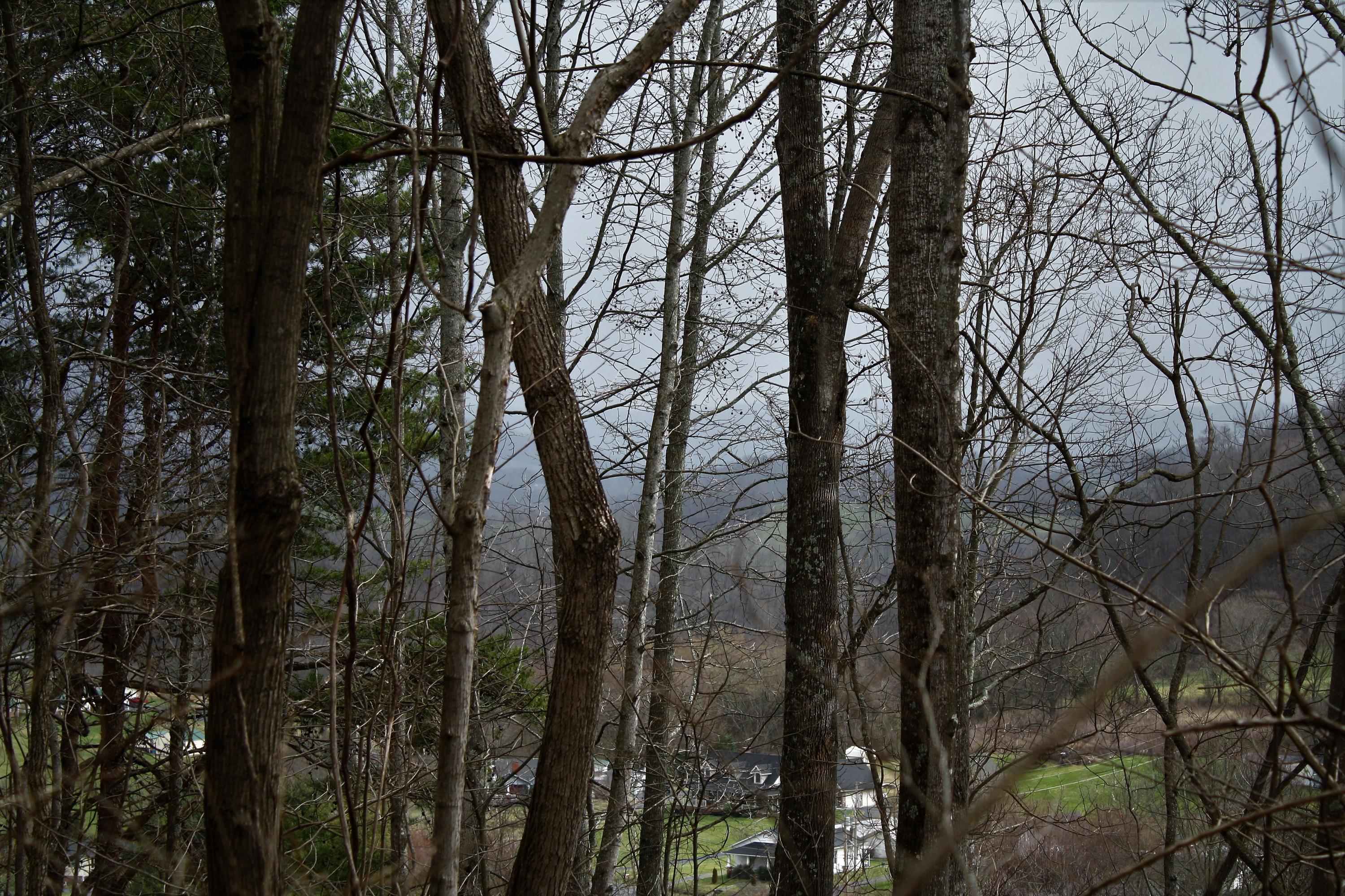 0 Old Watauga Road Watauga, TN 37694 - Photo 26 of 29 IMG_4356