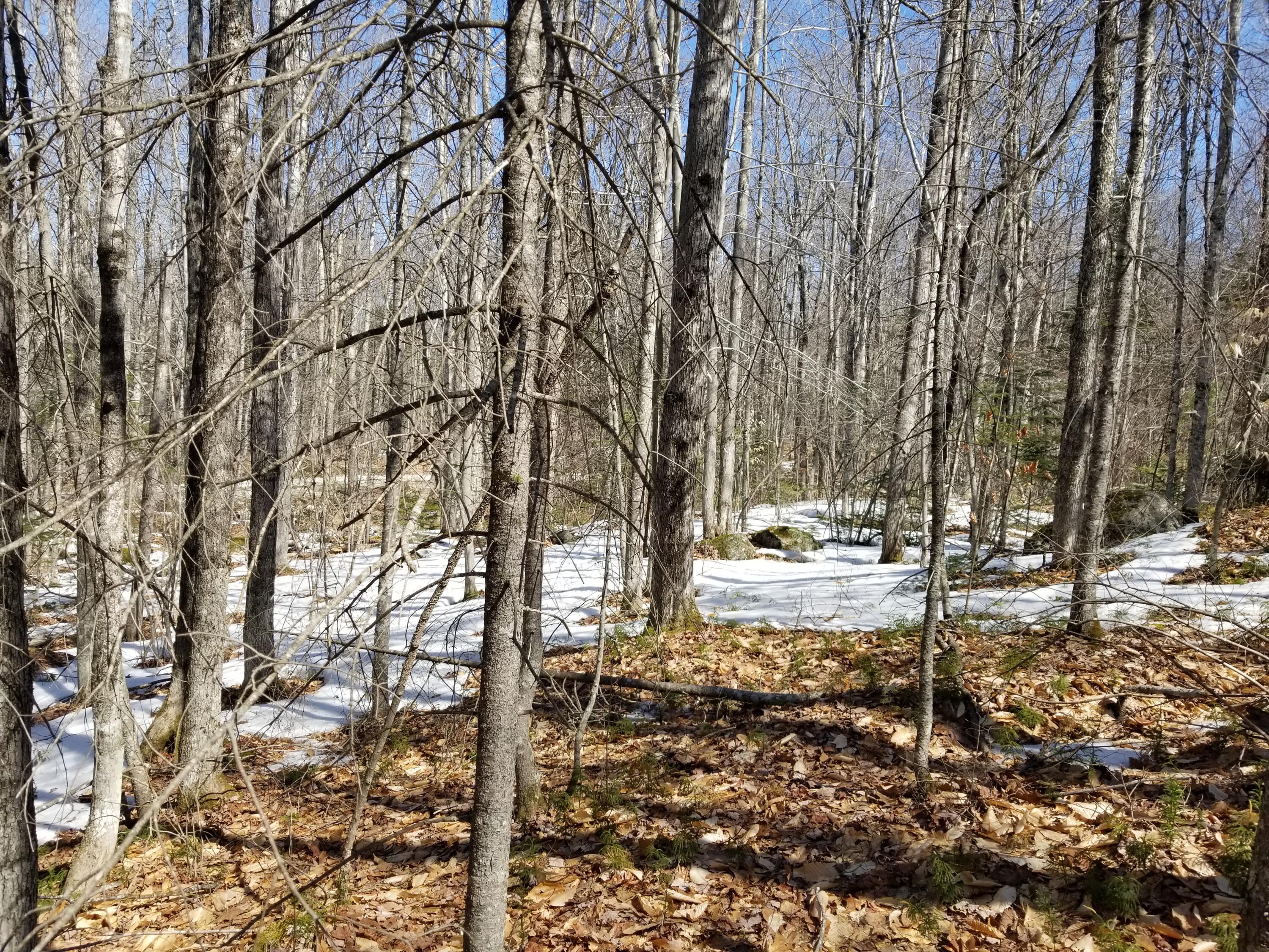 0 Fields Hill Road Sumner, ME 04292 - Photo 1 of 15 2022-03-28 12.10.32