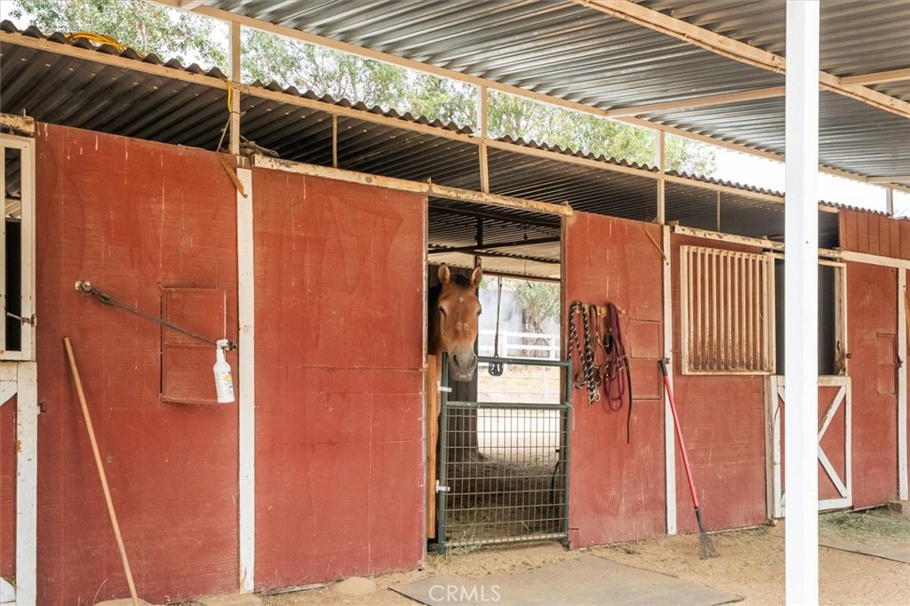 33314 Pewter Road Agua Dulce, CA 91390 - Photo 45 of 66 Horse Stalls
