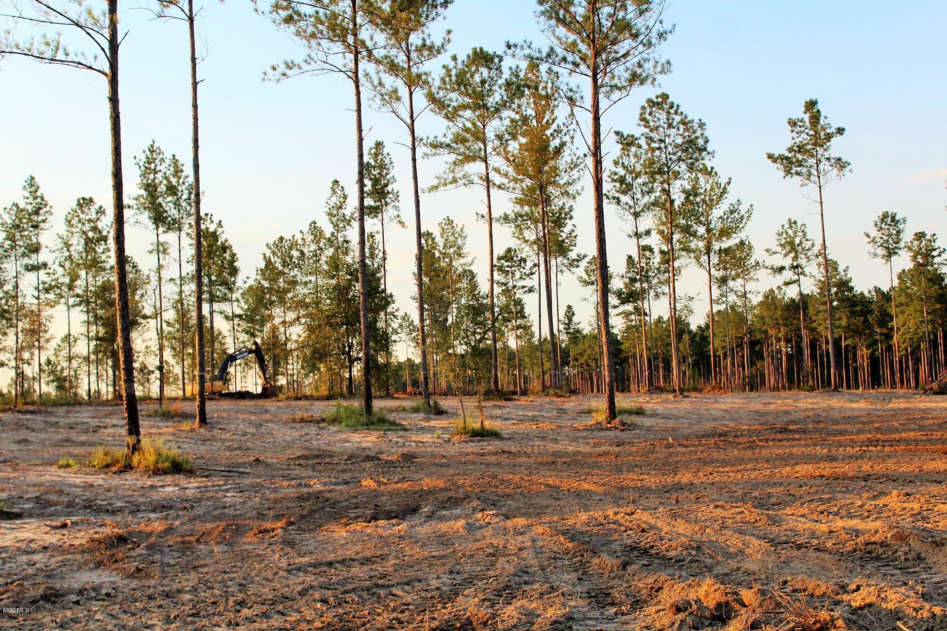 1.75-ac Homestead Road Lucedale, MS 39452 - Photo 4 of 14 IMG_1593