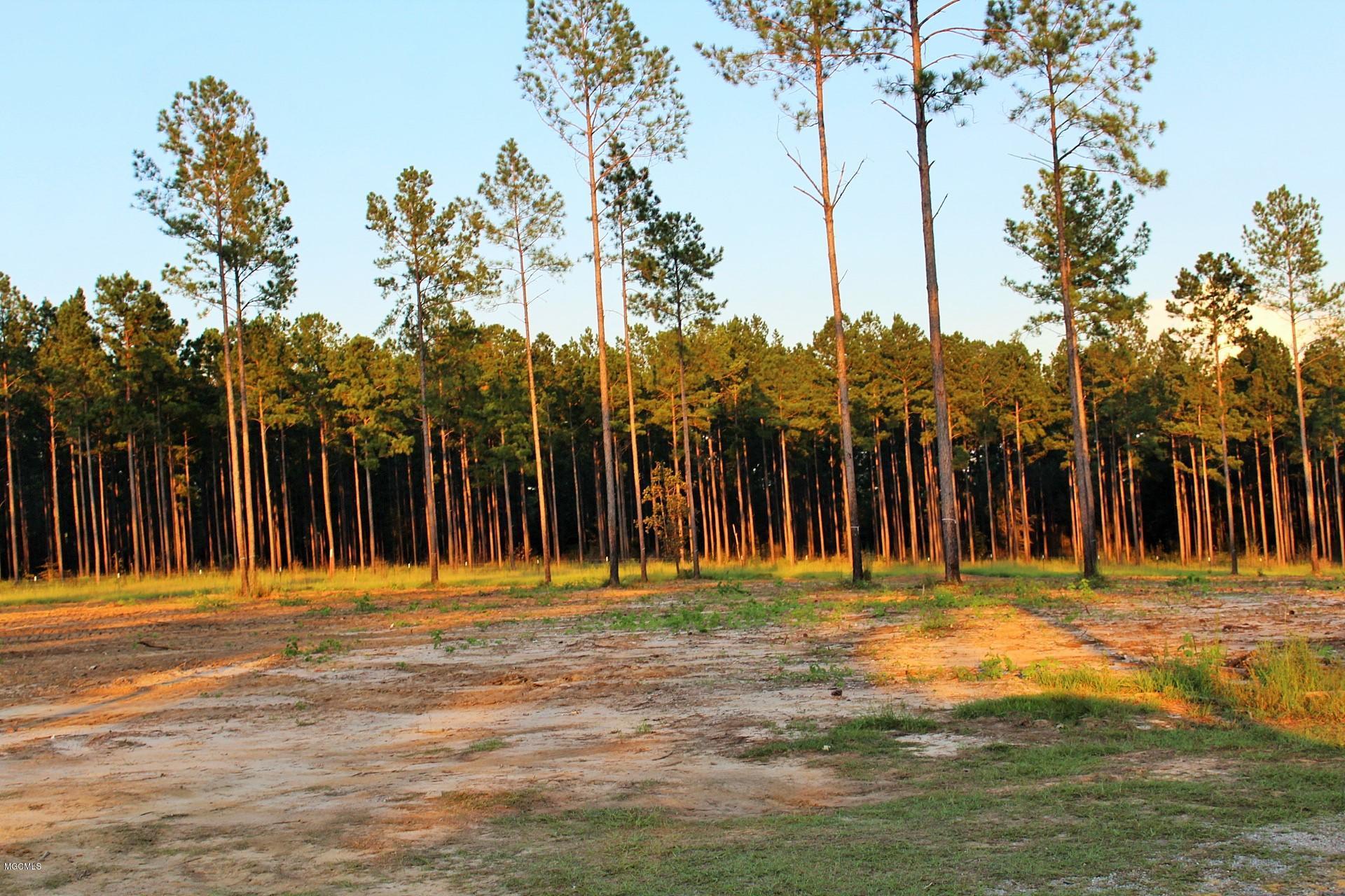 1.75-ac Homestead Road Lucedale, MS 39452 - Photo 6 of 14 IMG_1595
