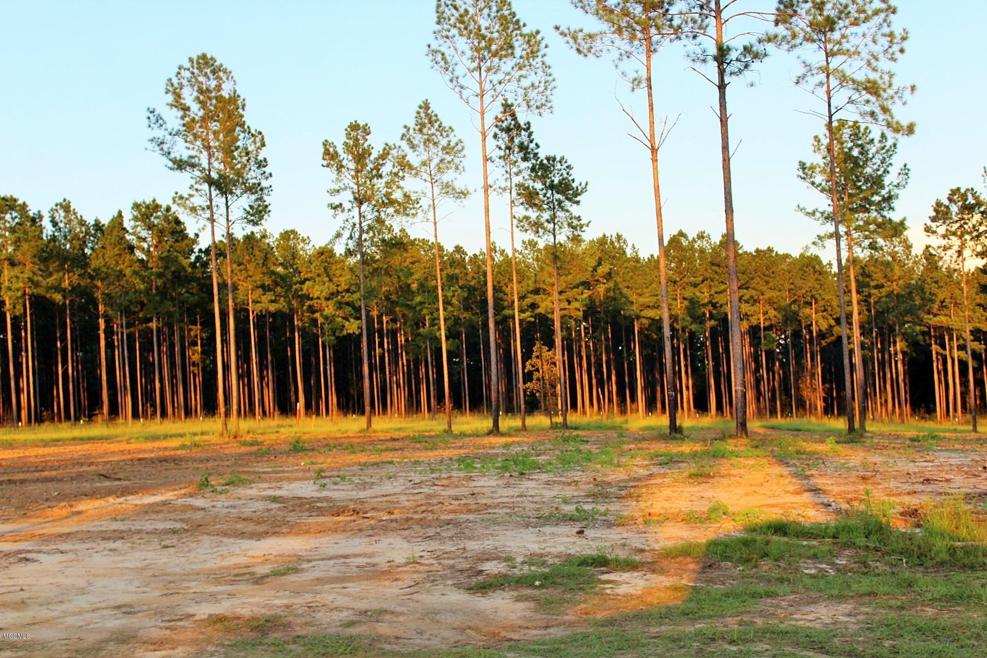 1.75-ac Homestead Road Lucedale, MS 39452 - Photo 7 of 14 IMG_1596