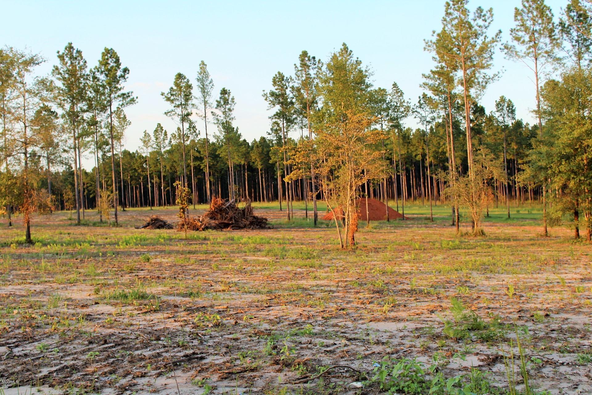 1.75-ac Homestead Road Lucedale, MS 39452 - Photo 10 of 14 IMG_1607