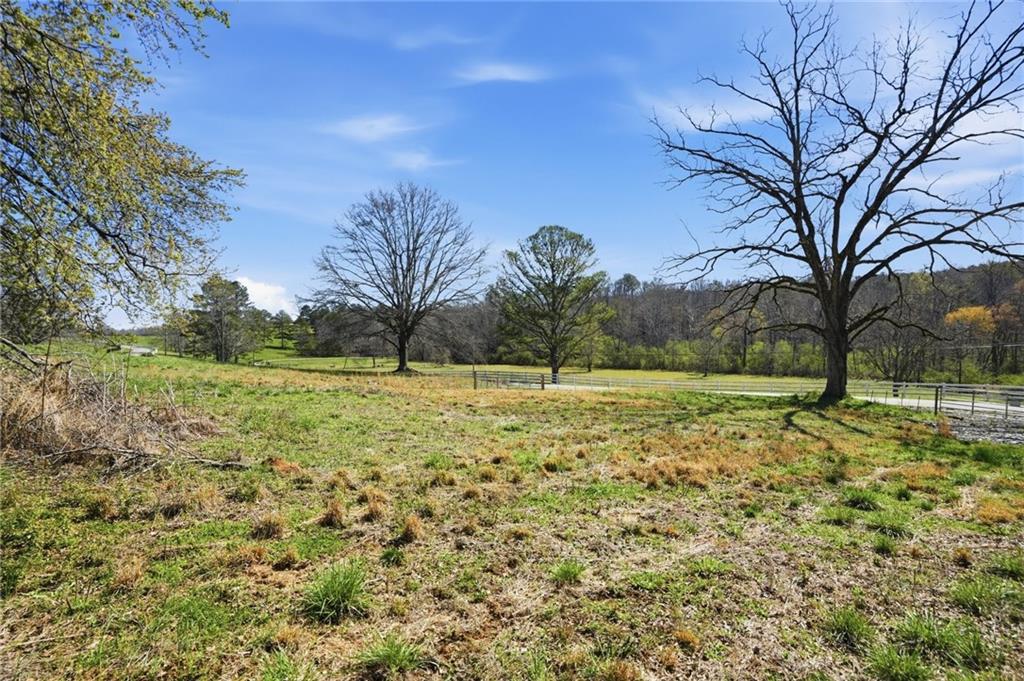 2201 Long Road Ball Ground, GA 30107 - Photo 15 of 16