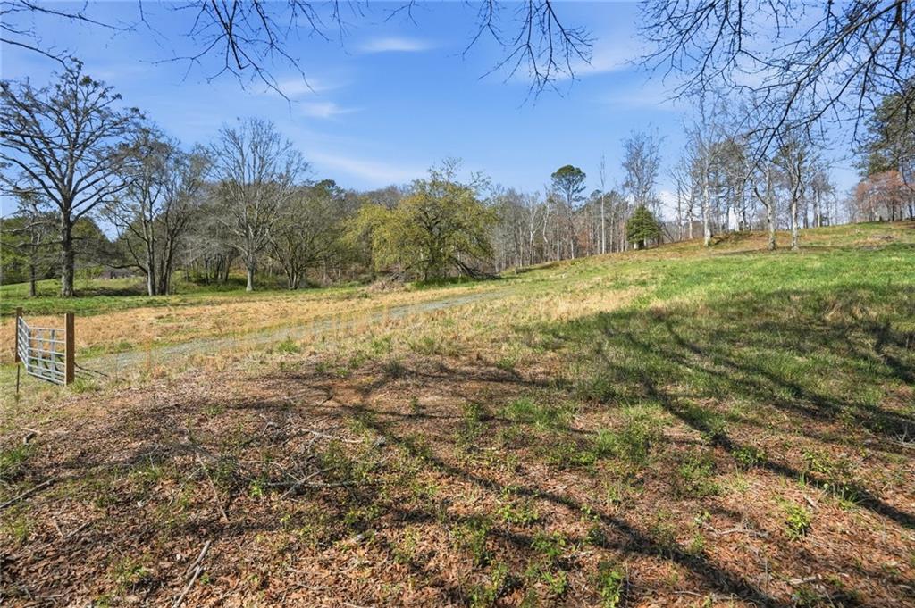 2201 Long Road Ball Ground, GA 30107 - Photo 16 of 16