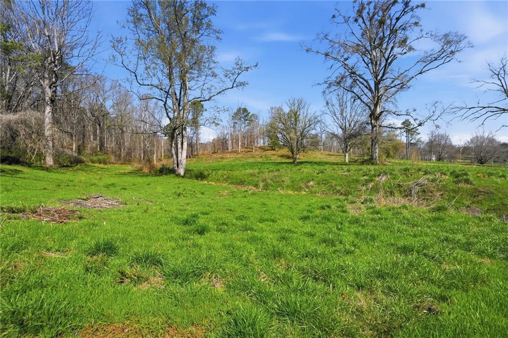 2201 Long Road Ball Ground, GA 30107 - Photo 3 of 16