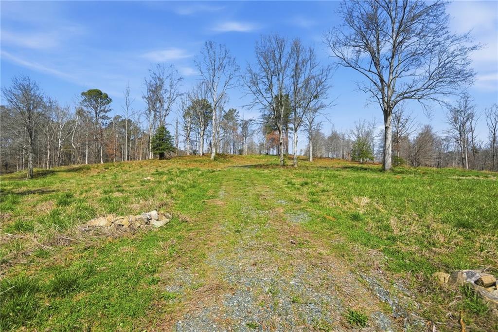 2201 Long Road Ball Ground, GA 30107 - Photo 4 of 16