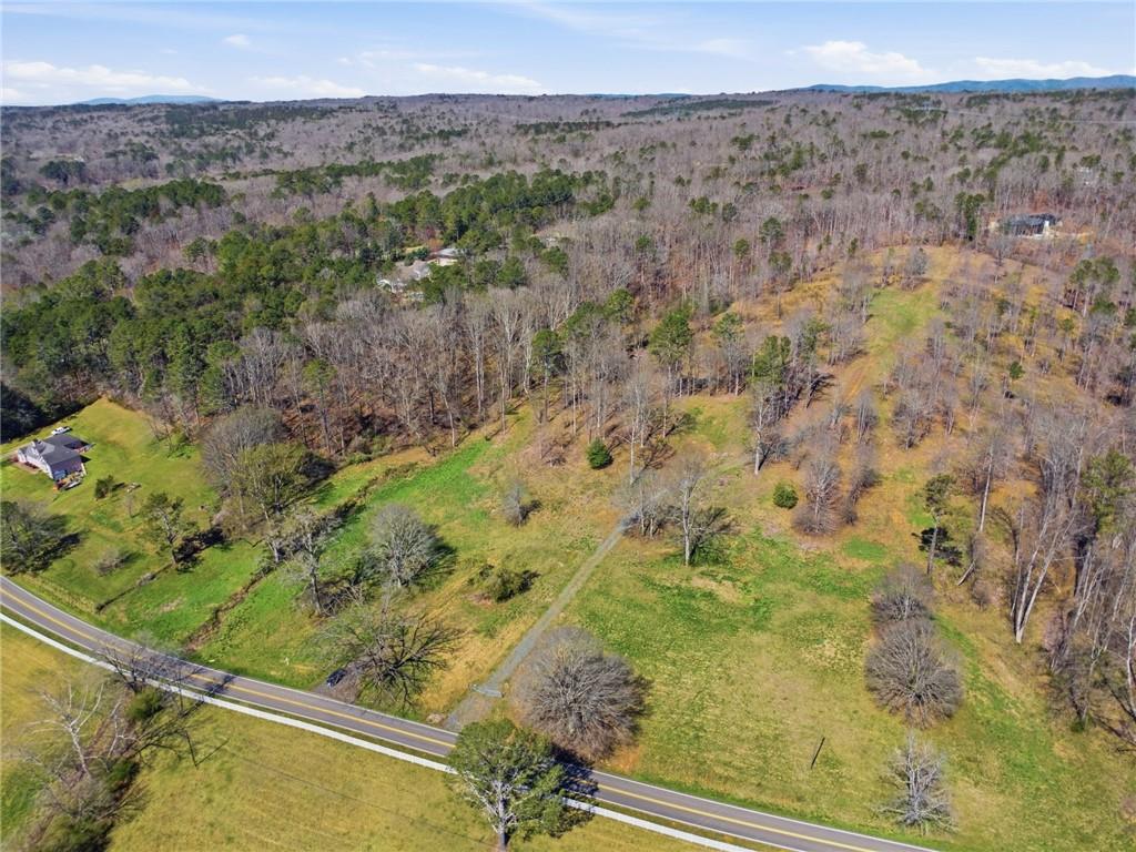 2201 Long Road Ball Ground, GA 30107 - Photo 5 of 16