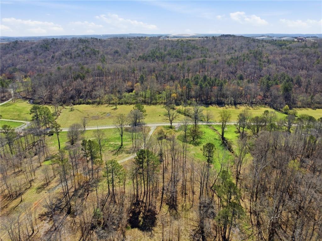 2201 Long Road Ball Ground, GA 30107 - Photo 9 of 16