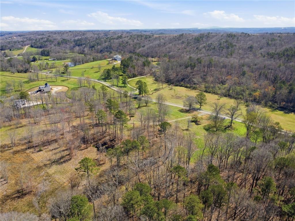 2201 Long Road Ball Ground, GA 30107 - Photo 10 of 16