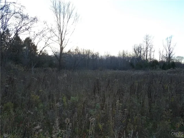 $224,000 | 82-84 West Main Street, Dryden, NY 13053