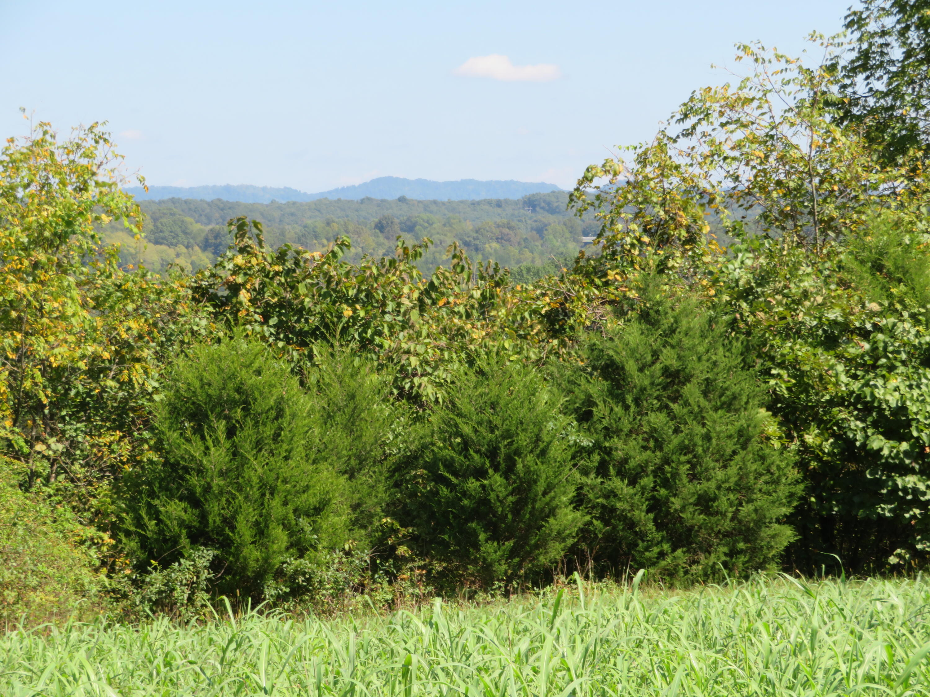 620 Lillies Ferry Road Winchester, KY 40391 - Photo 3 of 18 IMG_3018