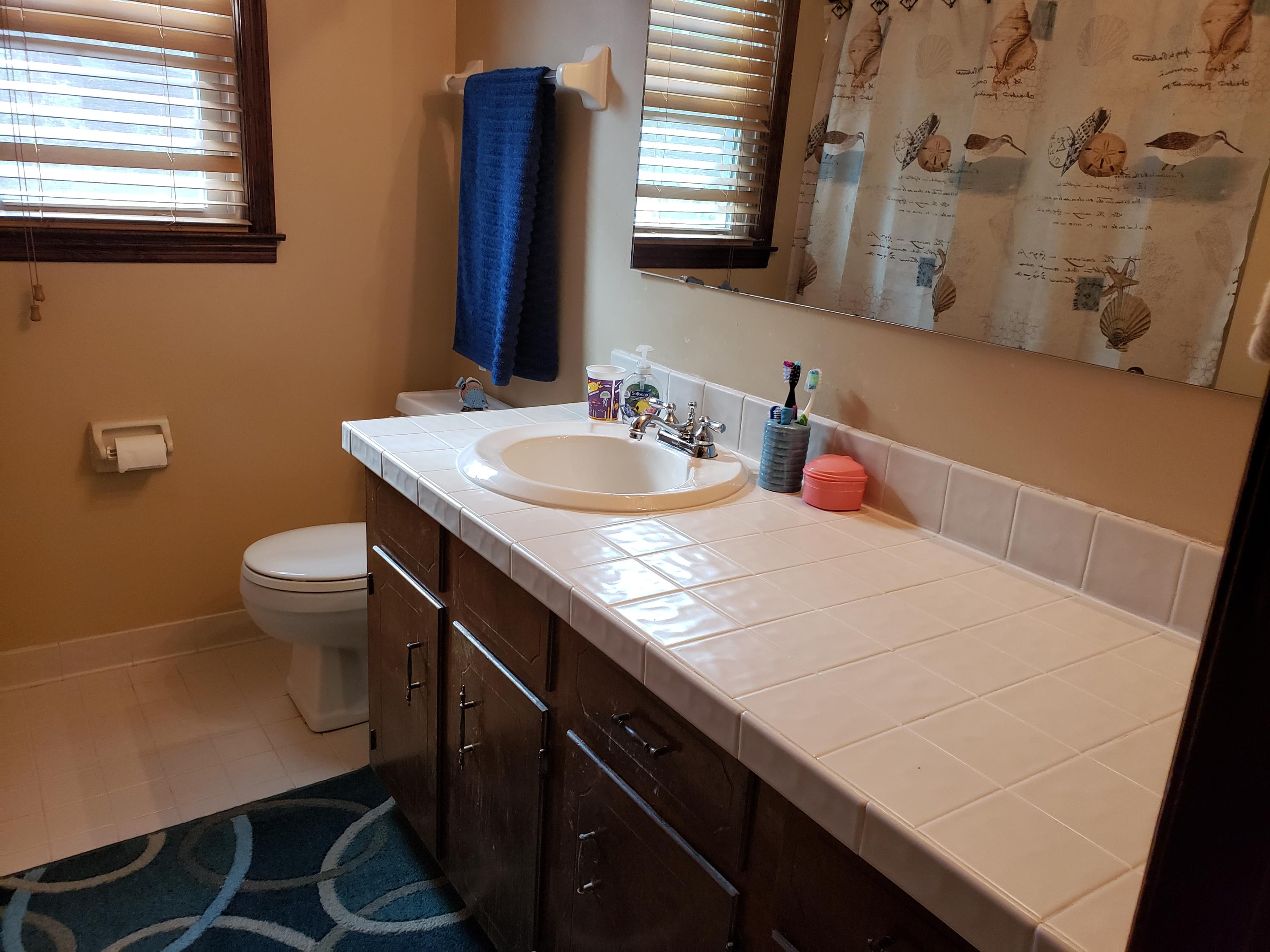 205 Ruffin Road Summerville, SC 29486 - Photo 17 of 21 Hall bathroom sink