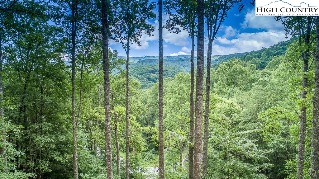 346 Grady Winkler Road Boone, NC 28607 - Photo 2 of 48