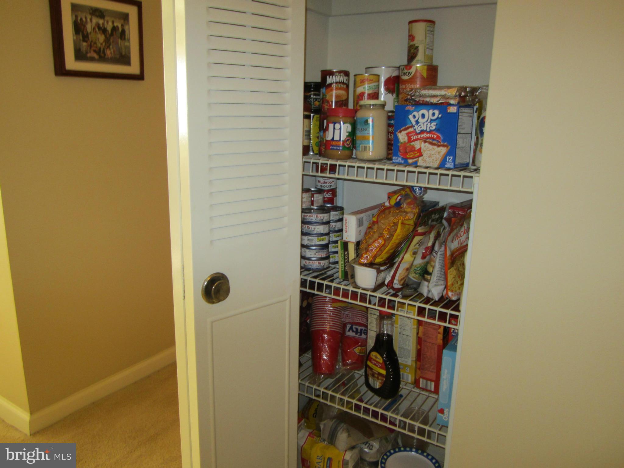 19040 Mills Choice Road, Unit 1 Gaithersburg, MD 20886 - Photo 19 of 30 Pantry - home has 3 additional closets.