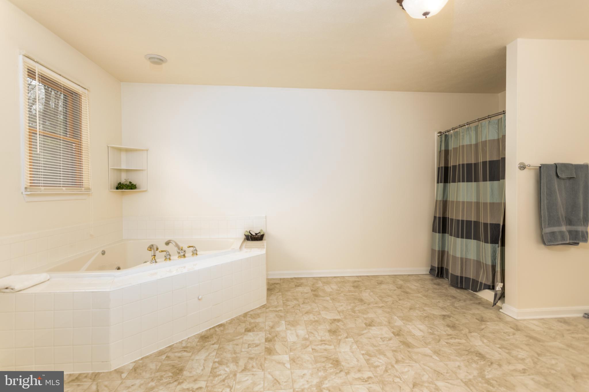 400 Cedar Ridge Road Berkeley Springs, WV 25411 - Photo 17 of 40 large master bath with separate tub and shower