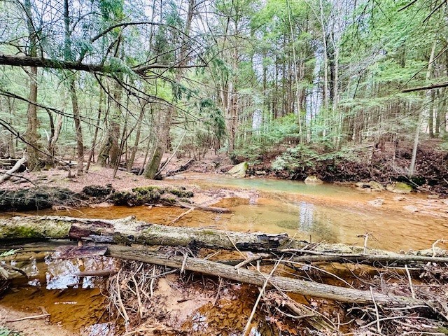 0 Huefner Spring Road Lucinda, PA 16235 - Photo 5 of 10