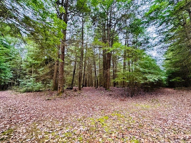 0 Huefner Spring Road Lucinda, PA 16235 - Photo 7 of 10