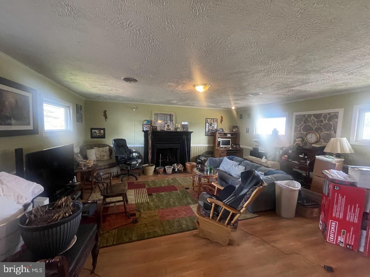 202 Gumboro Road Selbyville, DE 19975 - Photo 15 of 22 a living room with furniture a fireplace and a flat screen tv