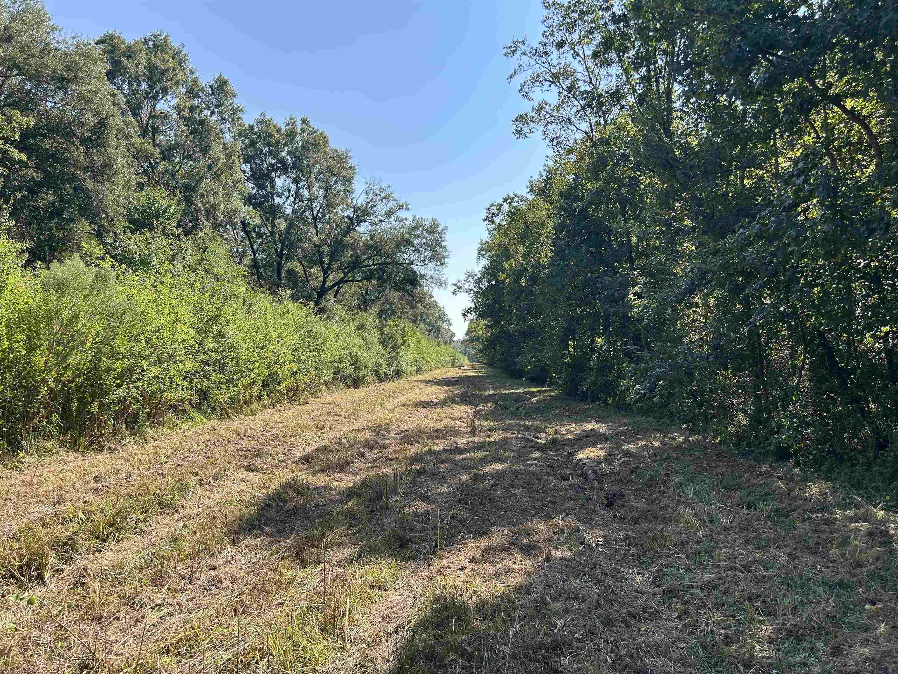 0 McGuire Road Liberty, TX 77575 - Photo 12 of 40