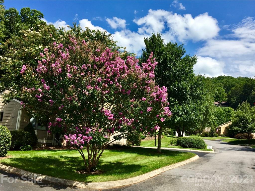 123 Beaver Ridge Road, Unit 123 Asheville, NC 28804 - Photo 27 of 41 Gallery Image 27