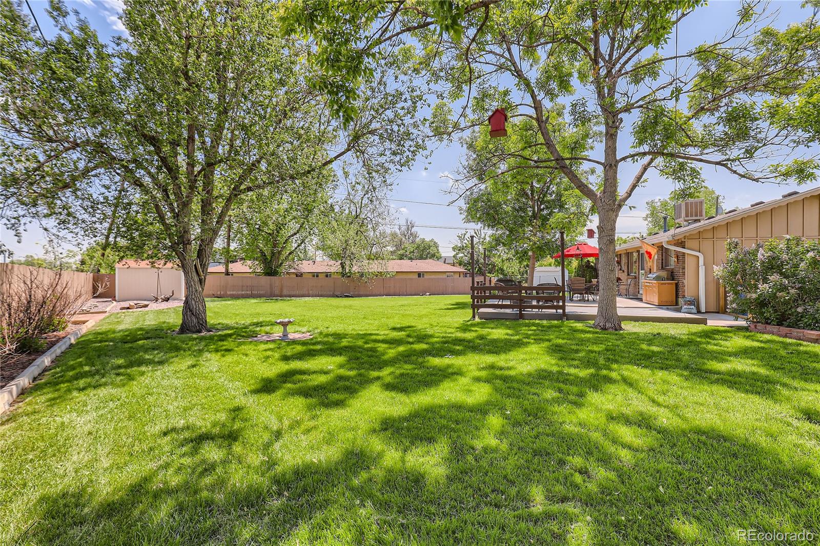 5366 Field Circle Arvada, CO 80002 - Photo 27 of 28 a view of yard with green space and trees
