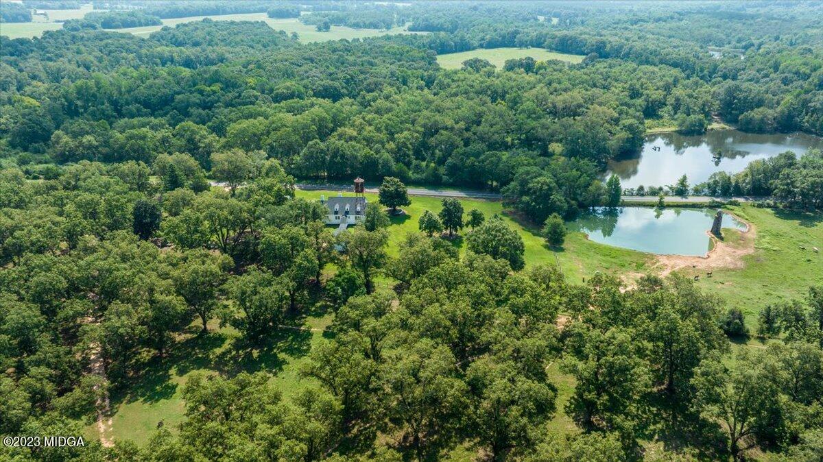 534 Logtown Road Yatesville, GA 31097 - Photo 18 of 48 57-DJI_0665