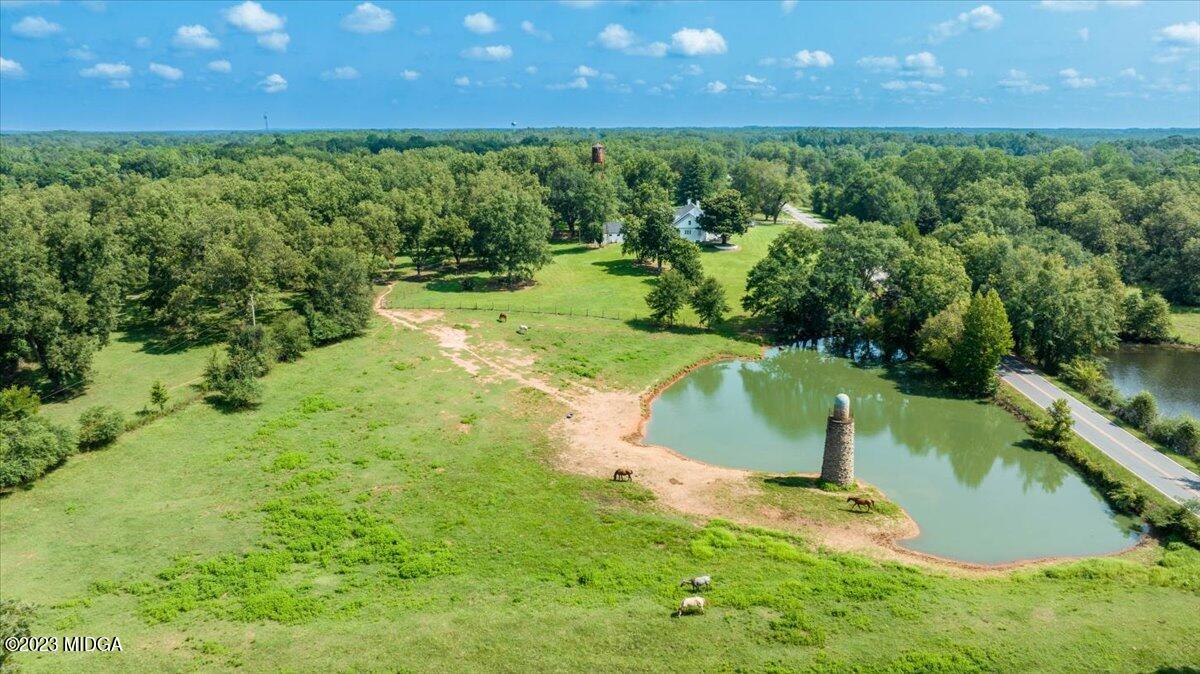 534 Logtown Road Yatesville, GA 31097 - Photo 3 of 48 54-DJI_0662