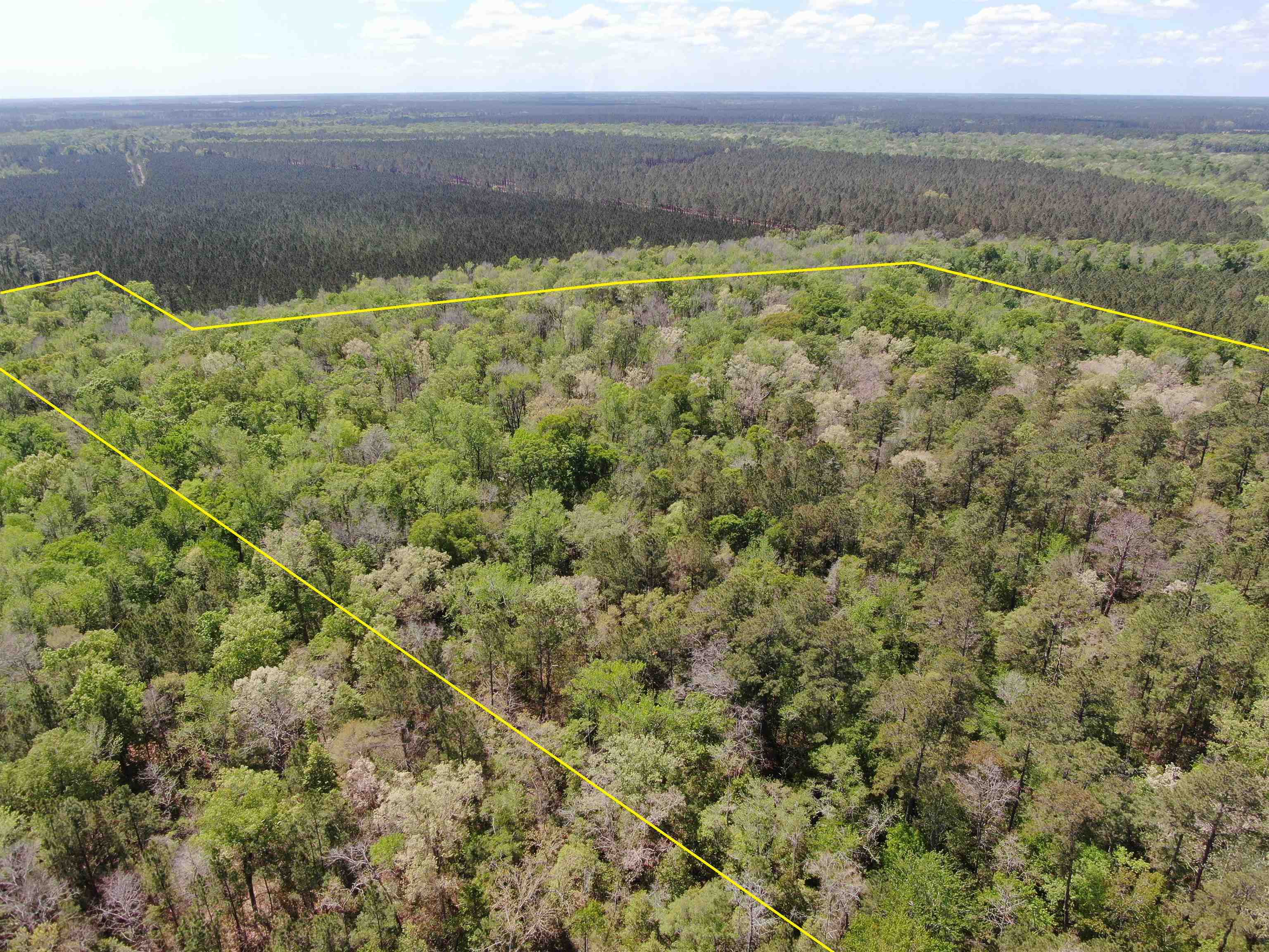 Tbd Georgetown Highway Andrews, SC 29510 - Photo 4 of 15