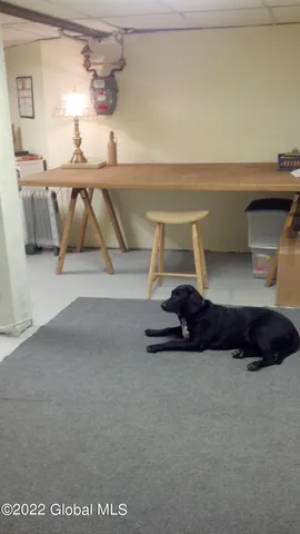 $253,000 | 38 North Allen Street, Albany, NY 12203