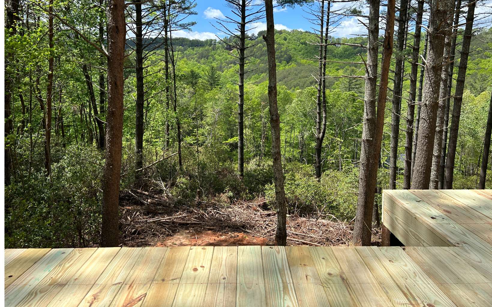 64 Moonshine Way Blue Ridge, GA 30513 - Photo 21 of 72 Additional View