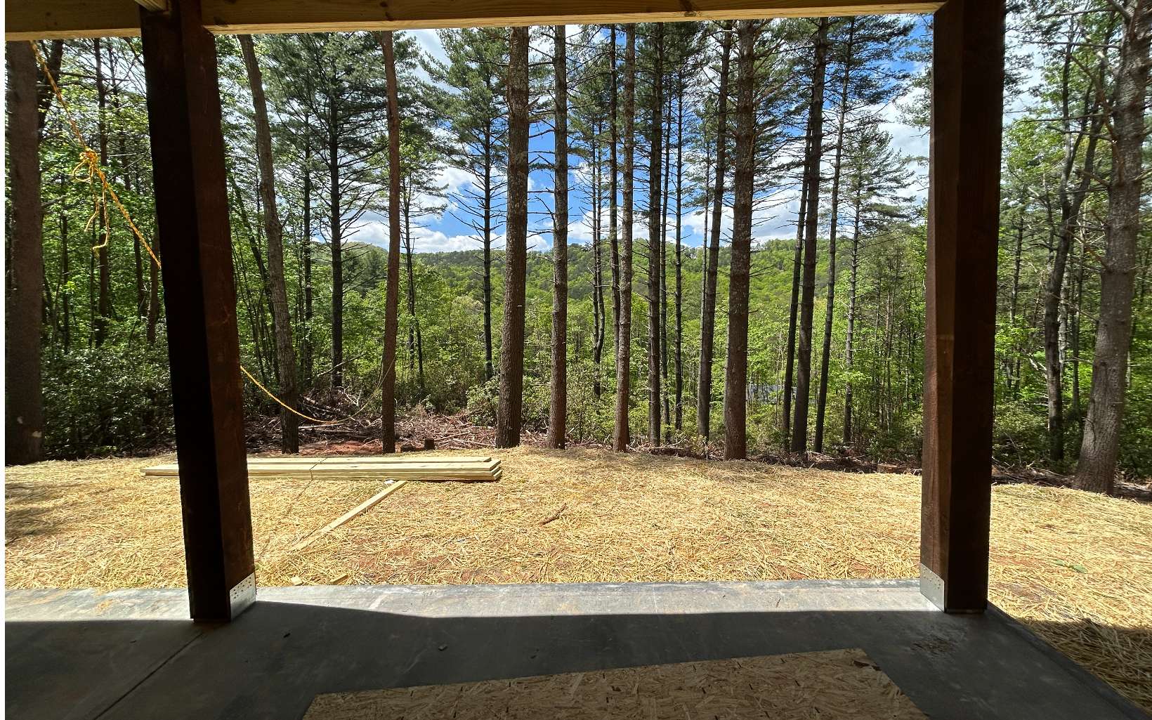 64 Moonshine Way Blue Ridge, GA 30513 - Photo 45 of 72 Additional View