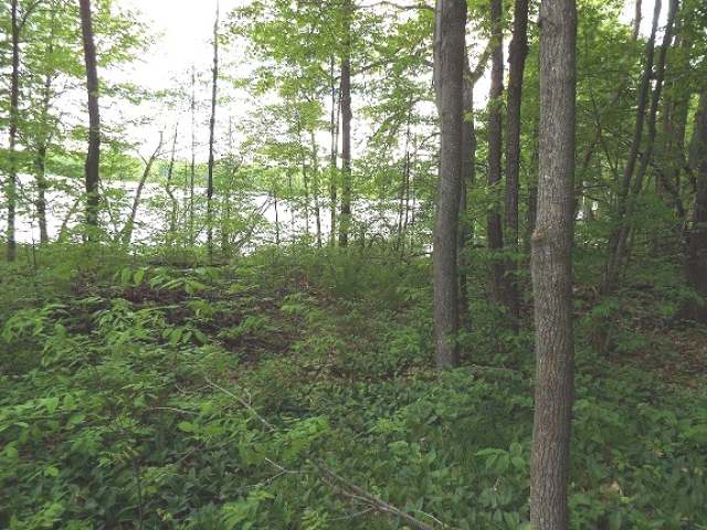 On Mill Road, Unit LOT 21 Summit Lake, WI 54485 - Photo 1 of 2 Gallery Image 1
