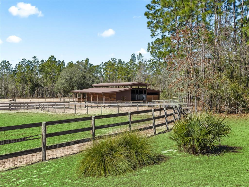 11670 Southeast 6th Street Williston, FL 32696 - Photo 45 of 63