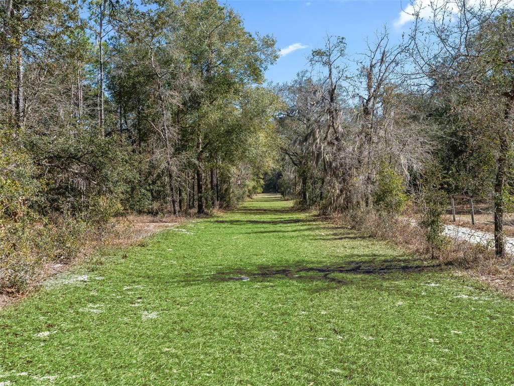 11670 Southeast 6th Street Williston, FL 32696 - Photo 56 of 63