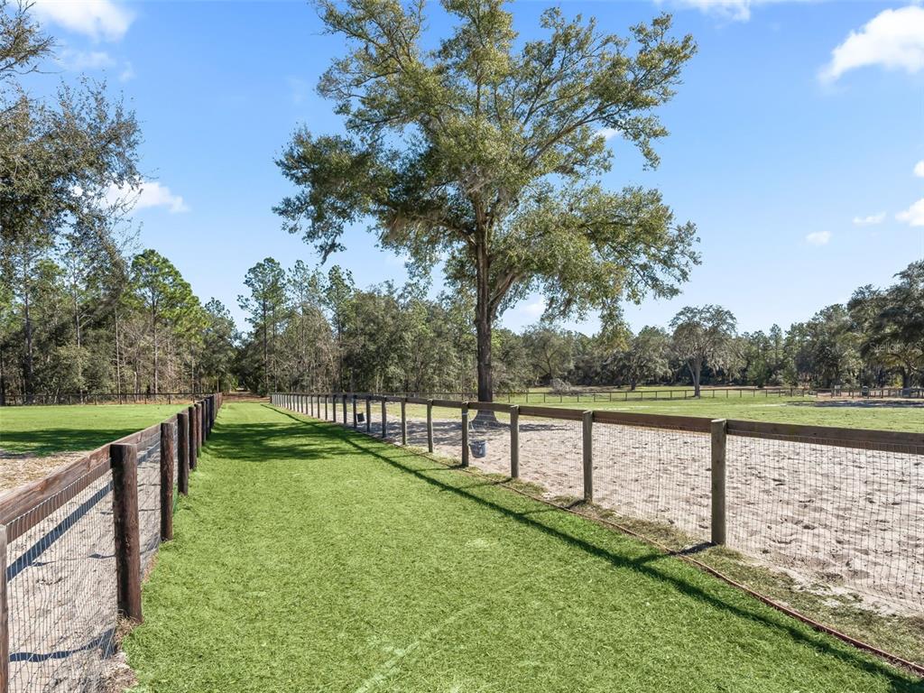 11670 Southeast 6th Street Williston, FL 32696 - Photo 58 of 63 a view of a lake with a yard