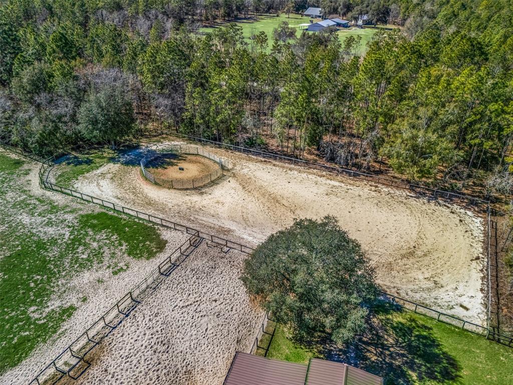 11670 Southeast 6th Street Williston, FL 32696 - Photo 59 of 63