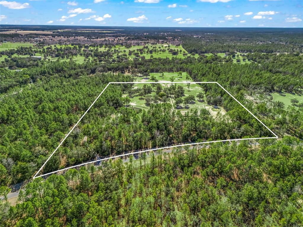 11670 Southeast 6th Street Williston, FL 32696 - Photo 62 of 63