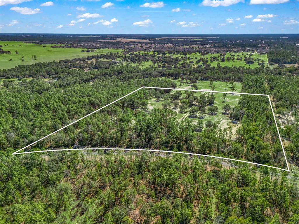 11670 Southeast 6th Street Williston, FL 32696 - Photo 63 of 63 a view of a field