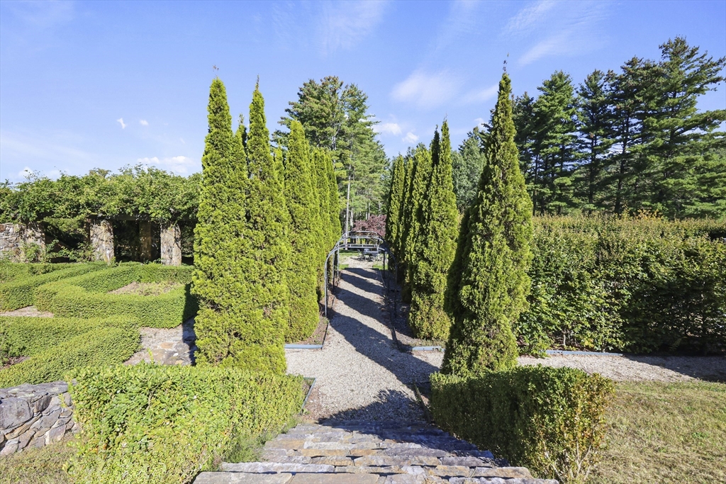 209 Blue Hill Road Great Barrington, MA 01230 - Photo 35 of 42 a view of a yard with plants and large trees