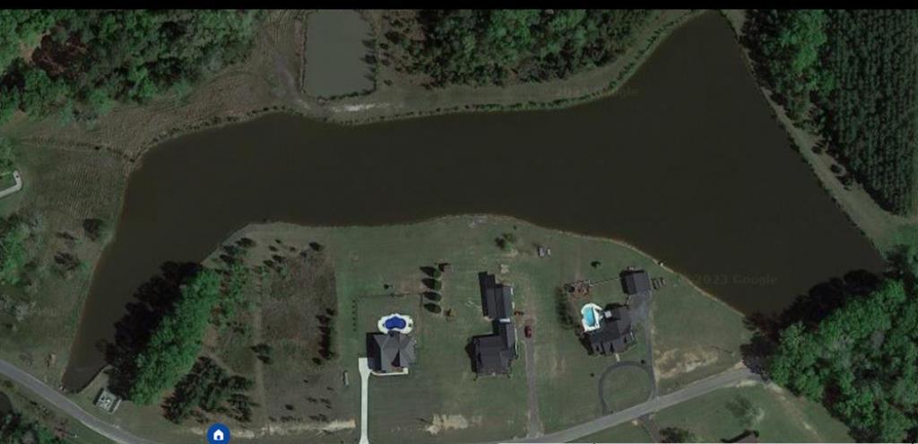 301 Crimson Road Cowarts, AL 36321 - Photo 2 of 9