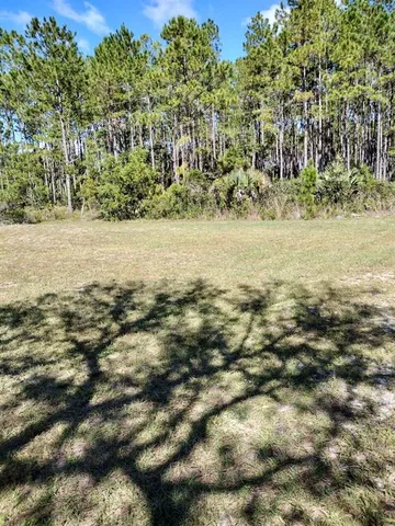 a view of a yard with a tree