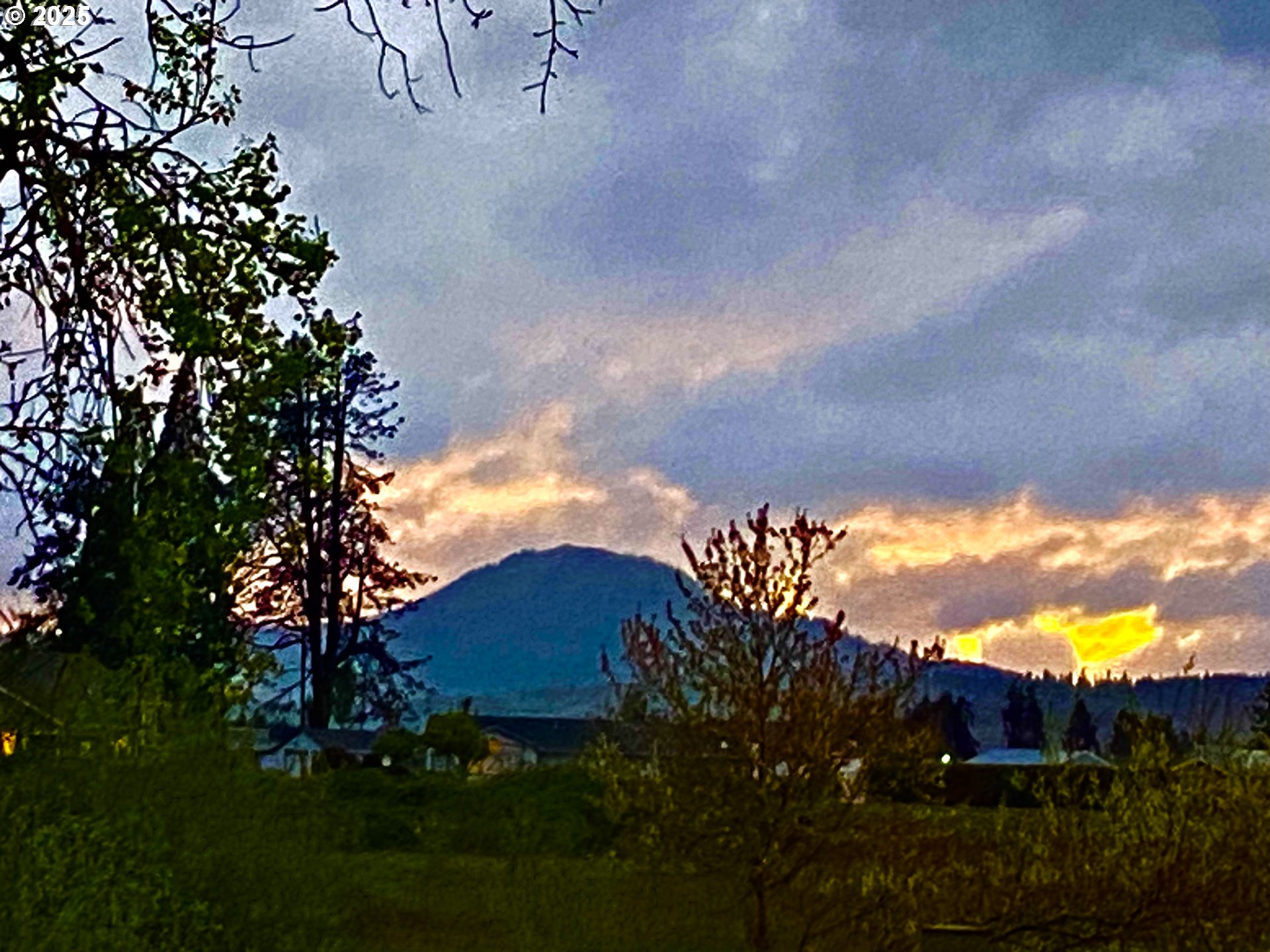 625 St Andrews Loop Creswell, OR 97426 - Photo 7 of 31 a view of a yard in front of the house