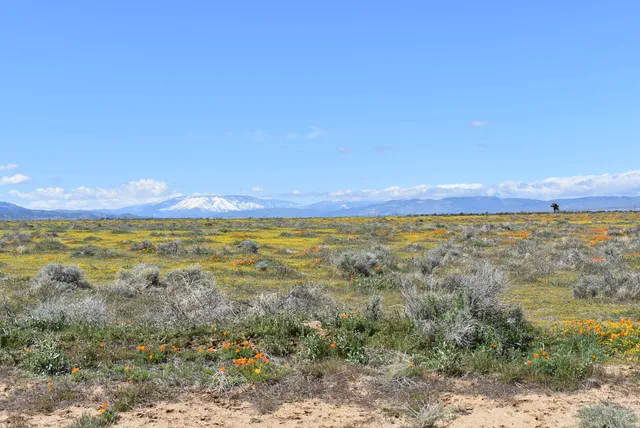 $22,500 | C12 & 141st Street West, Lancaster, CA 93536