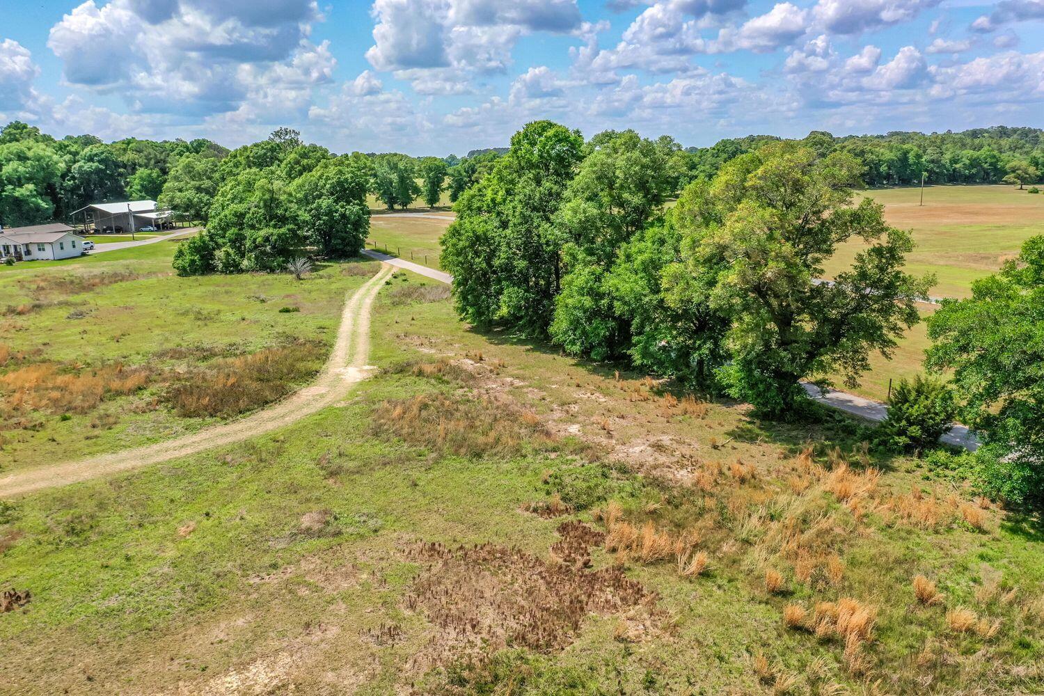 1704 Cobb Road Baker, FL 32531 - Photo 12 of 29 a view of a yard with a house