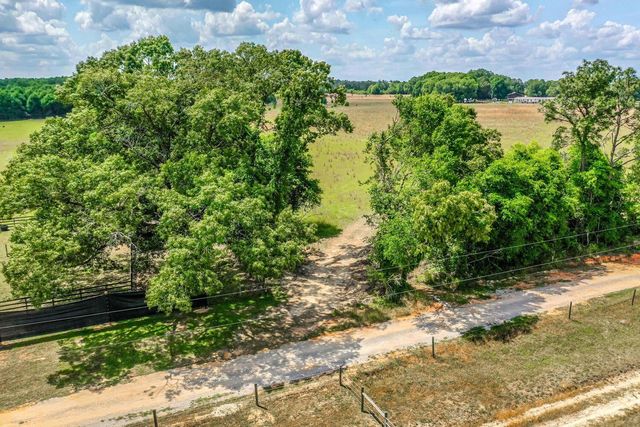 a view of a bunch of plants and trees