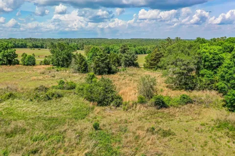 a view of a yard with plants and a building