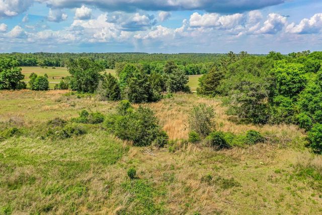 a view of a yard with plants and a building