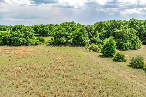 a view of a field of grass and trees