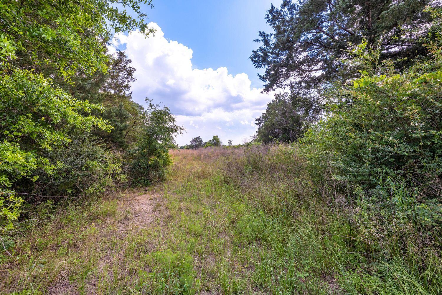 1704 Cobb Road Baker, FL 32531 - Photo 17 of 29 a view of a field of grass and trees